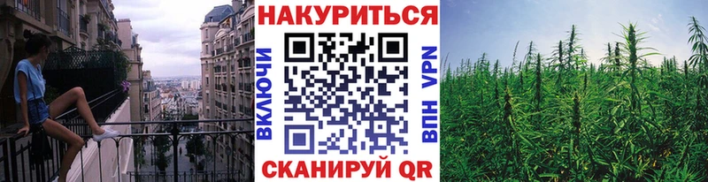Купить закладки  Конаково  Каннабис Ganja 